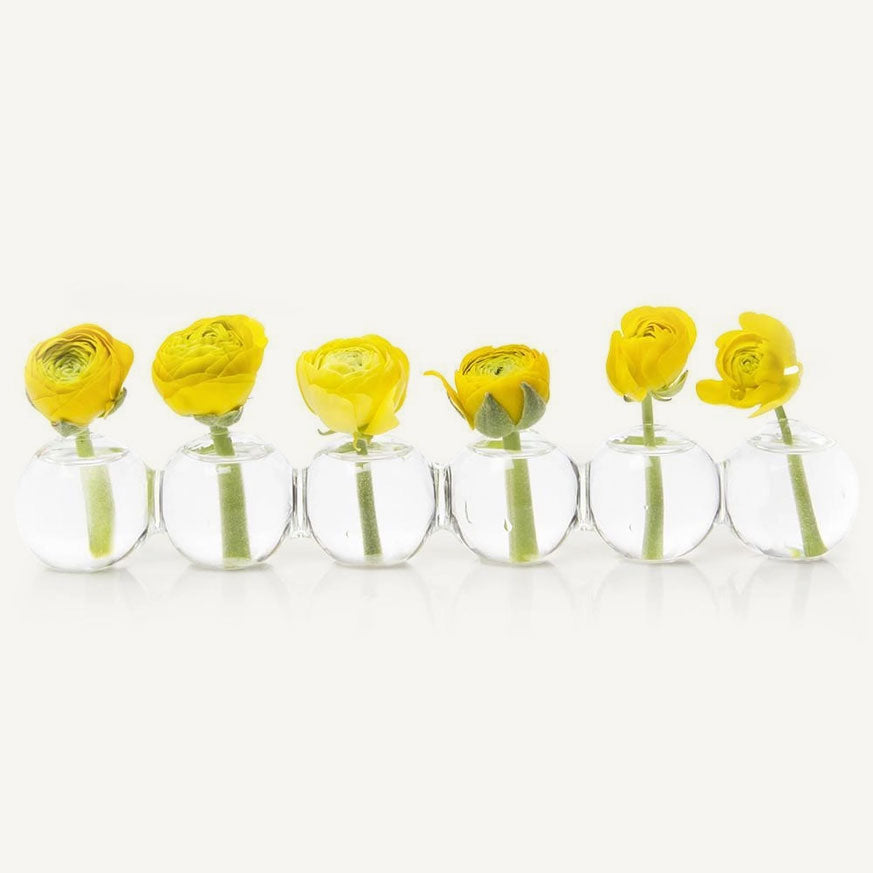 Caterpillar Vase