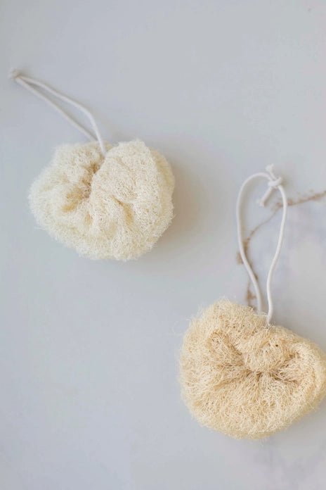 Loofah Sponge