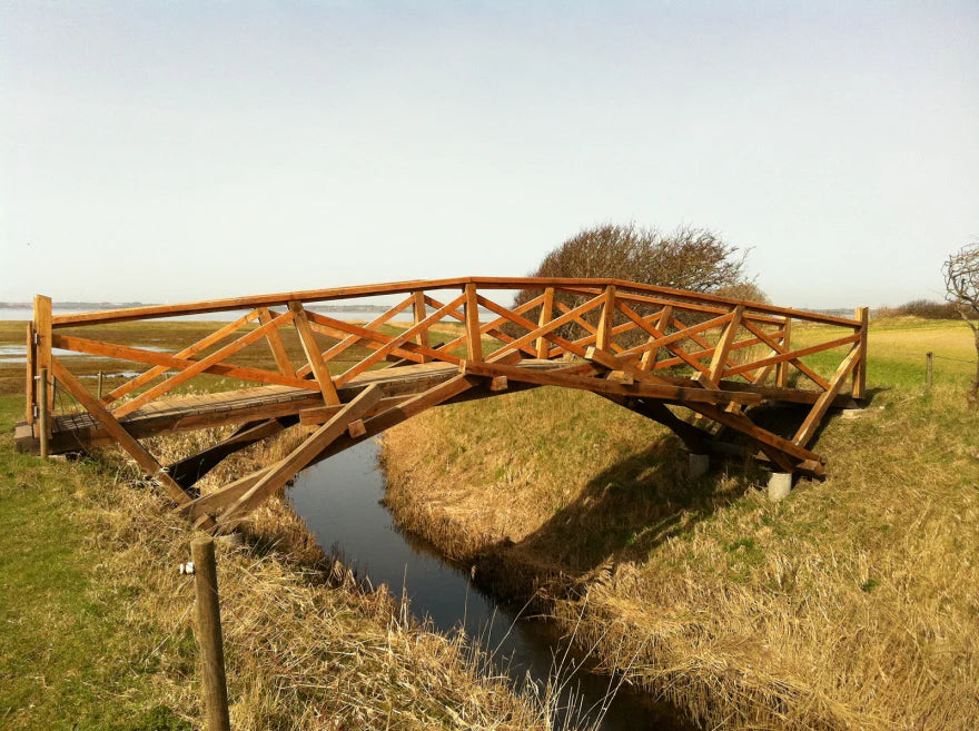 Da Vinci's Bridge DIY Kit