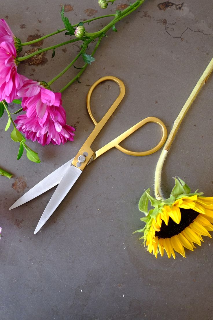 Brass Scissor 7.5"