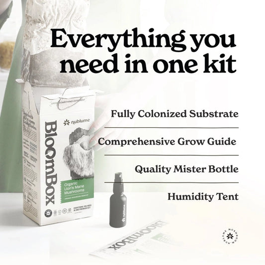 Lions Mane Mushroom Indoor Grow Kit