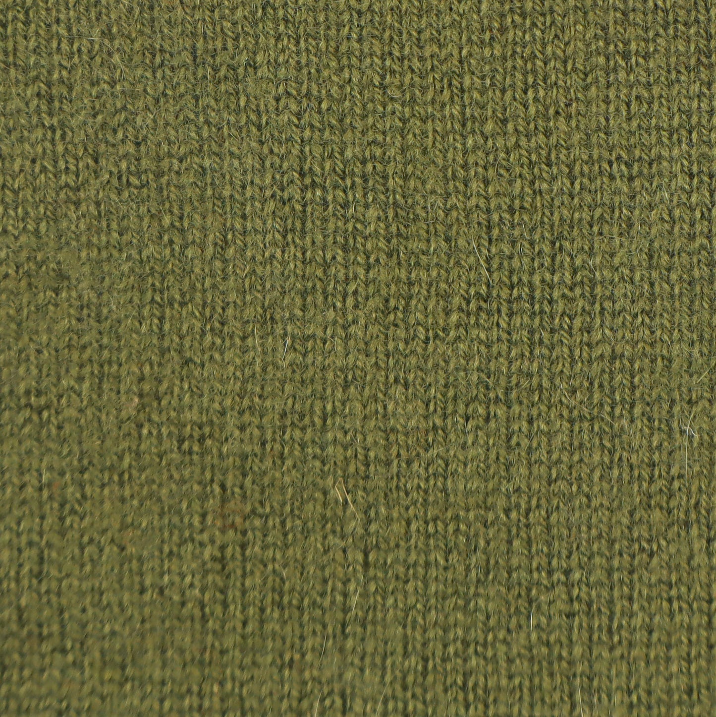 CA Cashmere Beanie - Bay Leaf