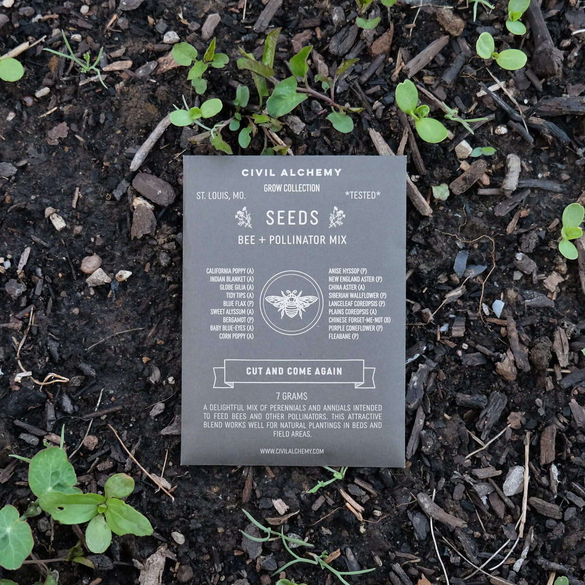 Bee & Pollinator Seed Mix