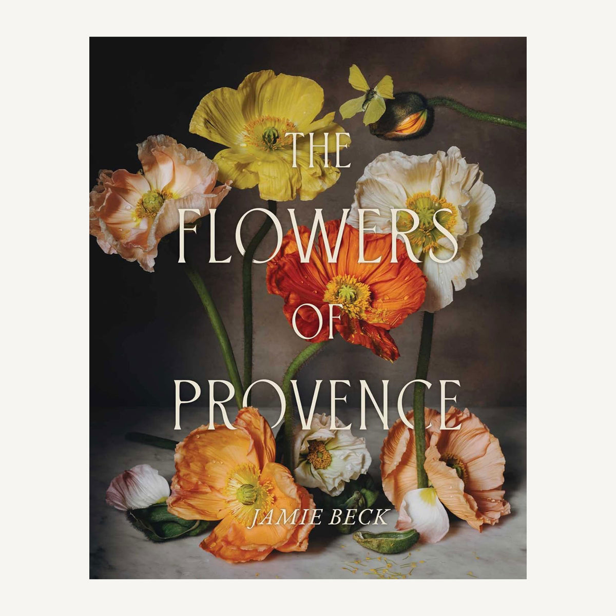 Flowers of Provence