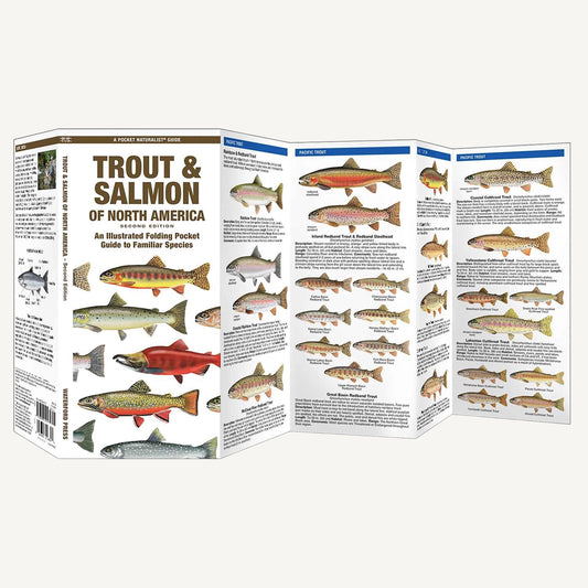 Trout & Salmon of North America - 2nd Ed