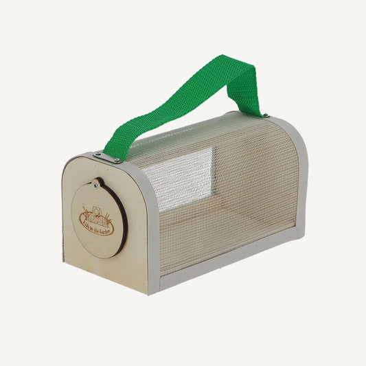 Insect Observation Box