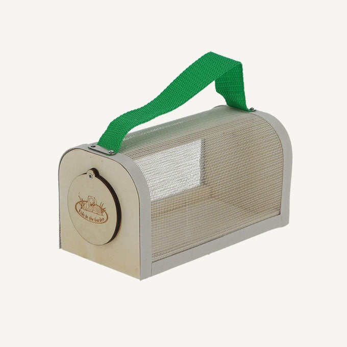 Insect Observation Box
