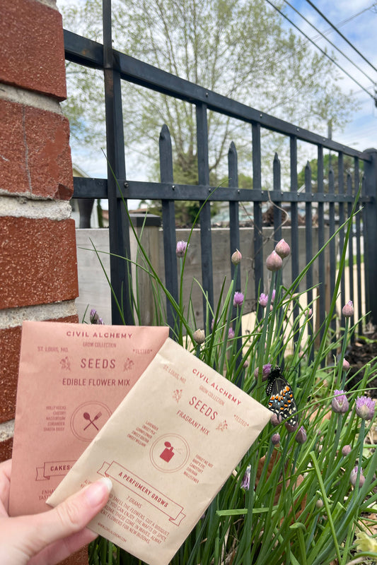 Two seed packets held by a hand with plants and a butterfly in the background.