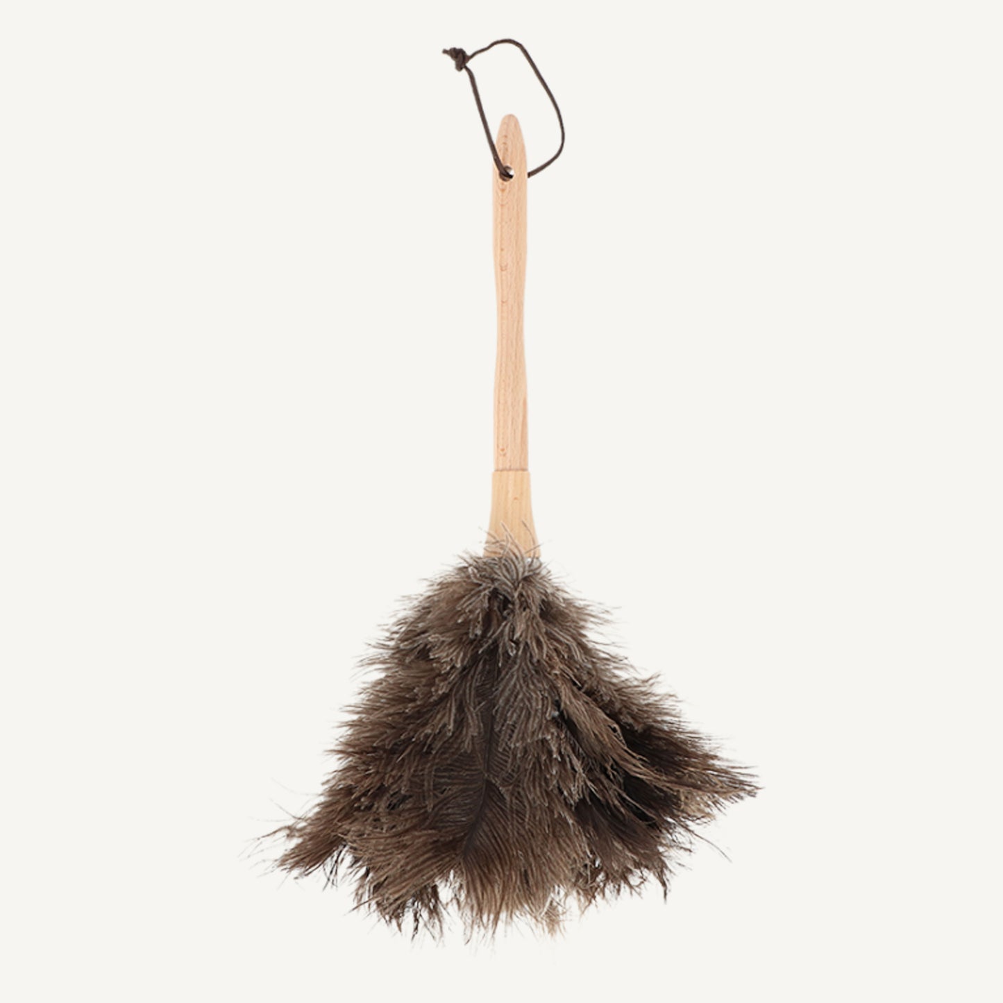 Feather Duster