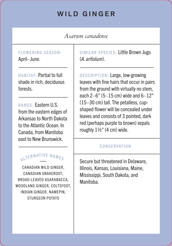Wildflower Id Flashcards - New York Botanical Garden