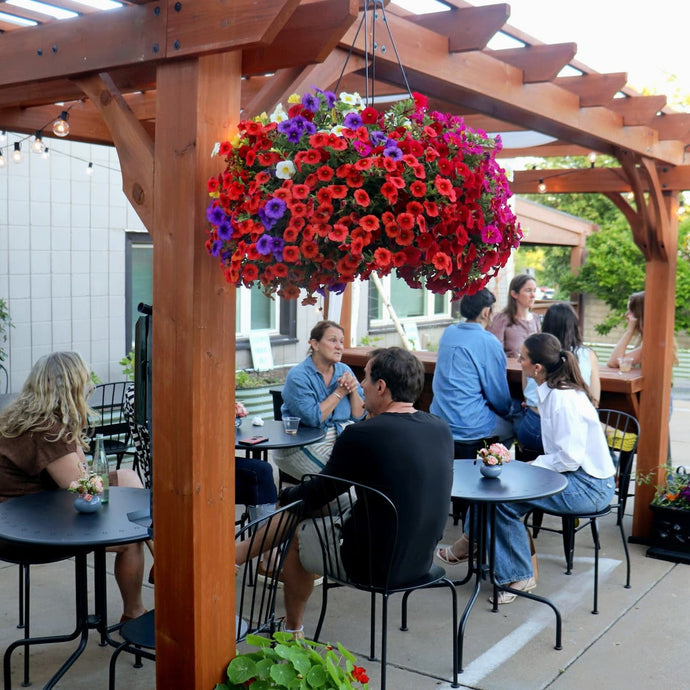 Music Pre-Show Series - FRIDAYS SEPT 12-26
