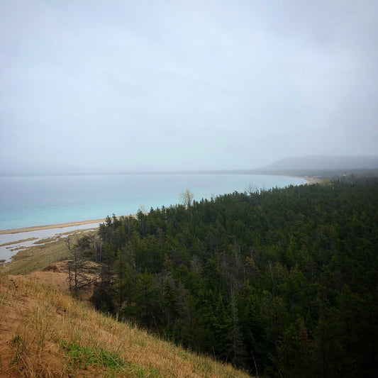 The Early Days- A reflection of Kelley’s Time in Michigan