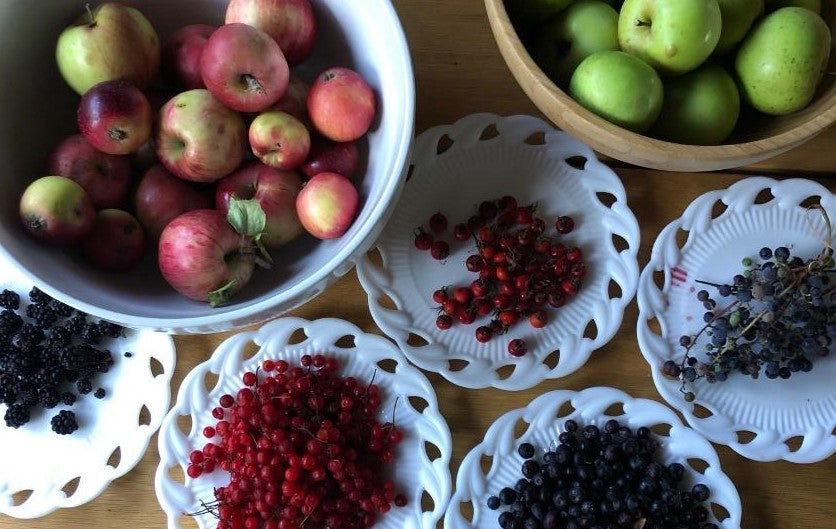 Fall Foraging