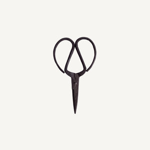 Household Scissors - Iron