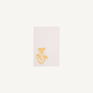 Medical Herb Cards Collection