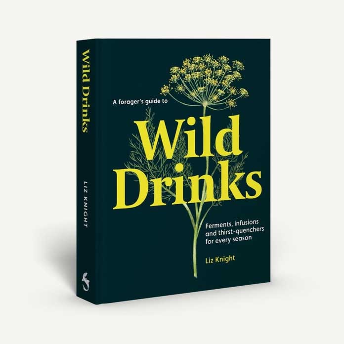 A Forager's Guide To Wild Drinks