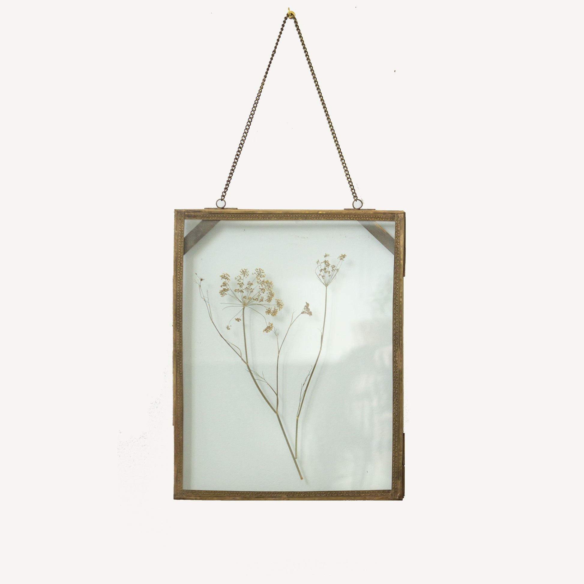 Decorative frame with pressed flowers on a white background