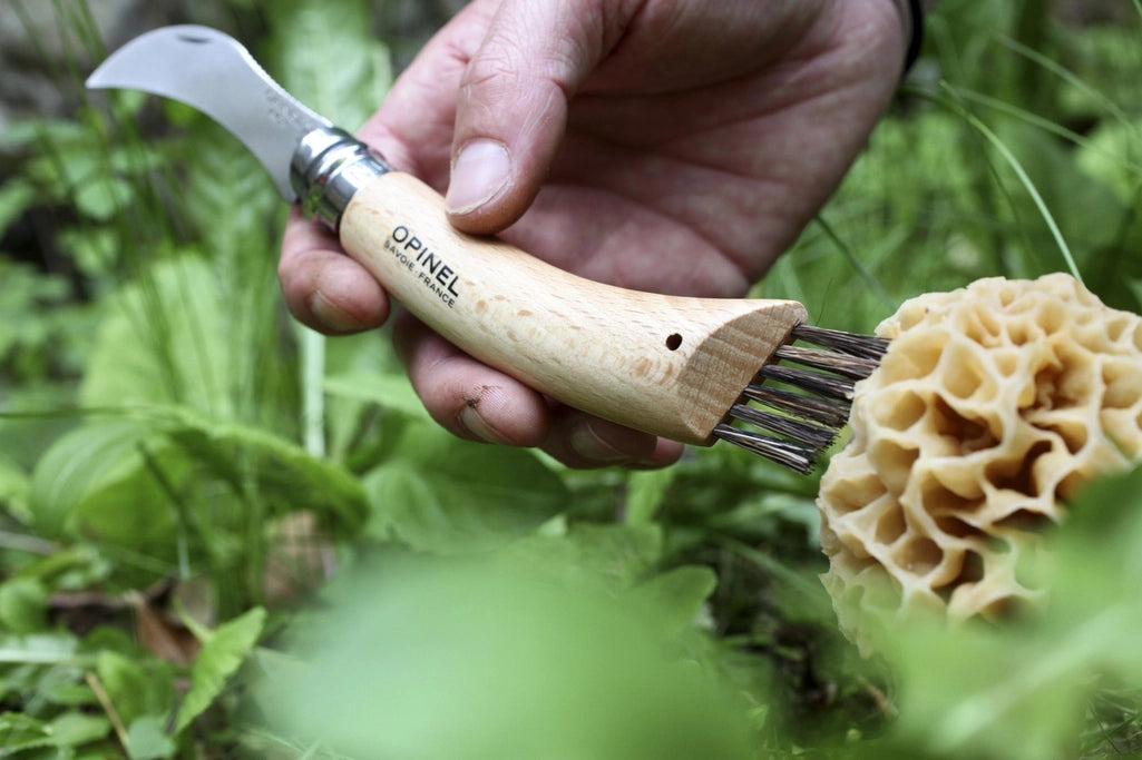 No 8 Mushroom Knife
