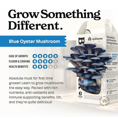 Blue Oyster Mushroom Indoor Grow Kit