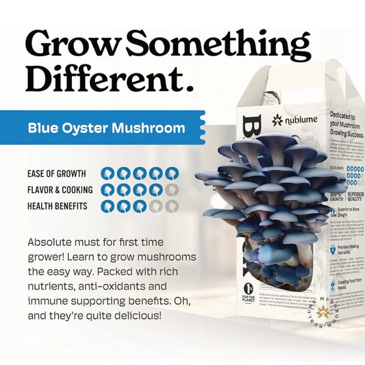 Blue Oyster Mushroom Indoor Grow Kit