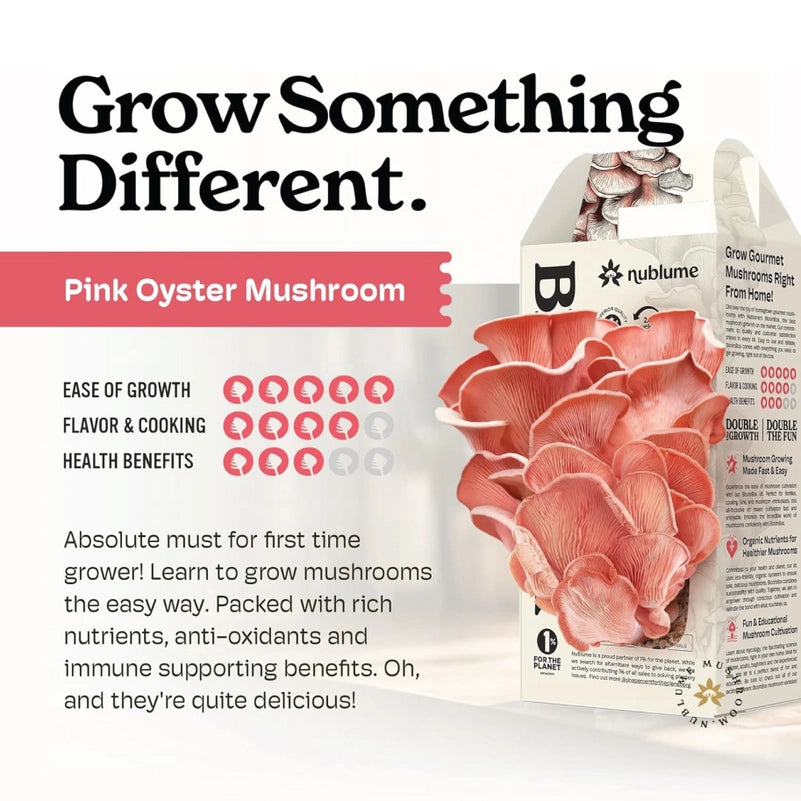 Pink Oyster Mushroom Indoor Grow Kit