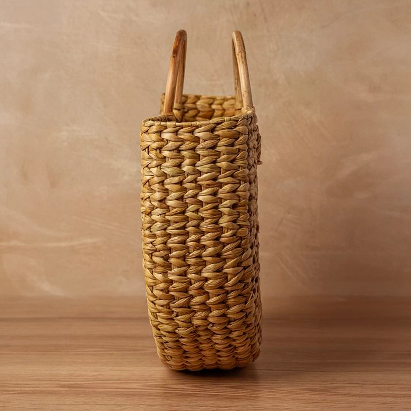 Circle Handle Palm Tote