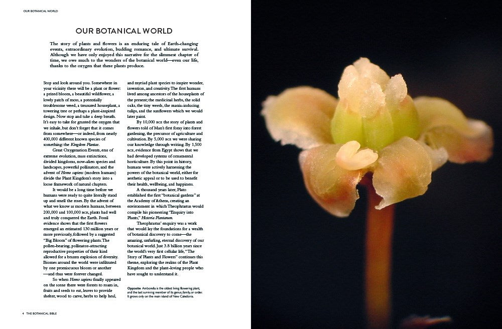 Botanical Bible
