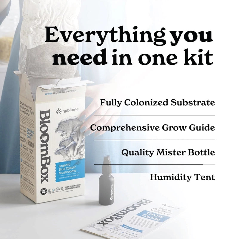 Blue Oyster Mushroom Indoor Grow Kit