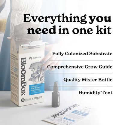 Blue Oyster Mushroom Indoor Grow Kit