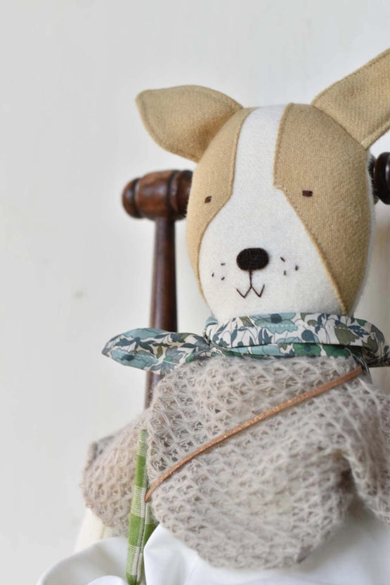 Fig the Frenchie Dog