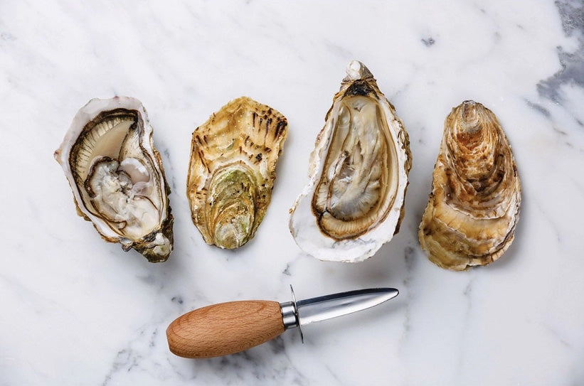 Oyster Knife