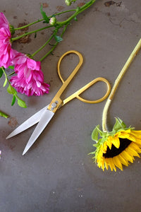 7.5" Brass Scissor