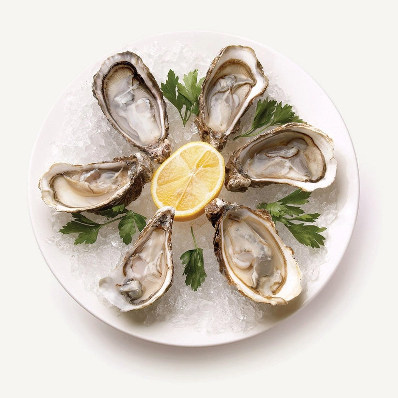 Oyster Knife