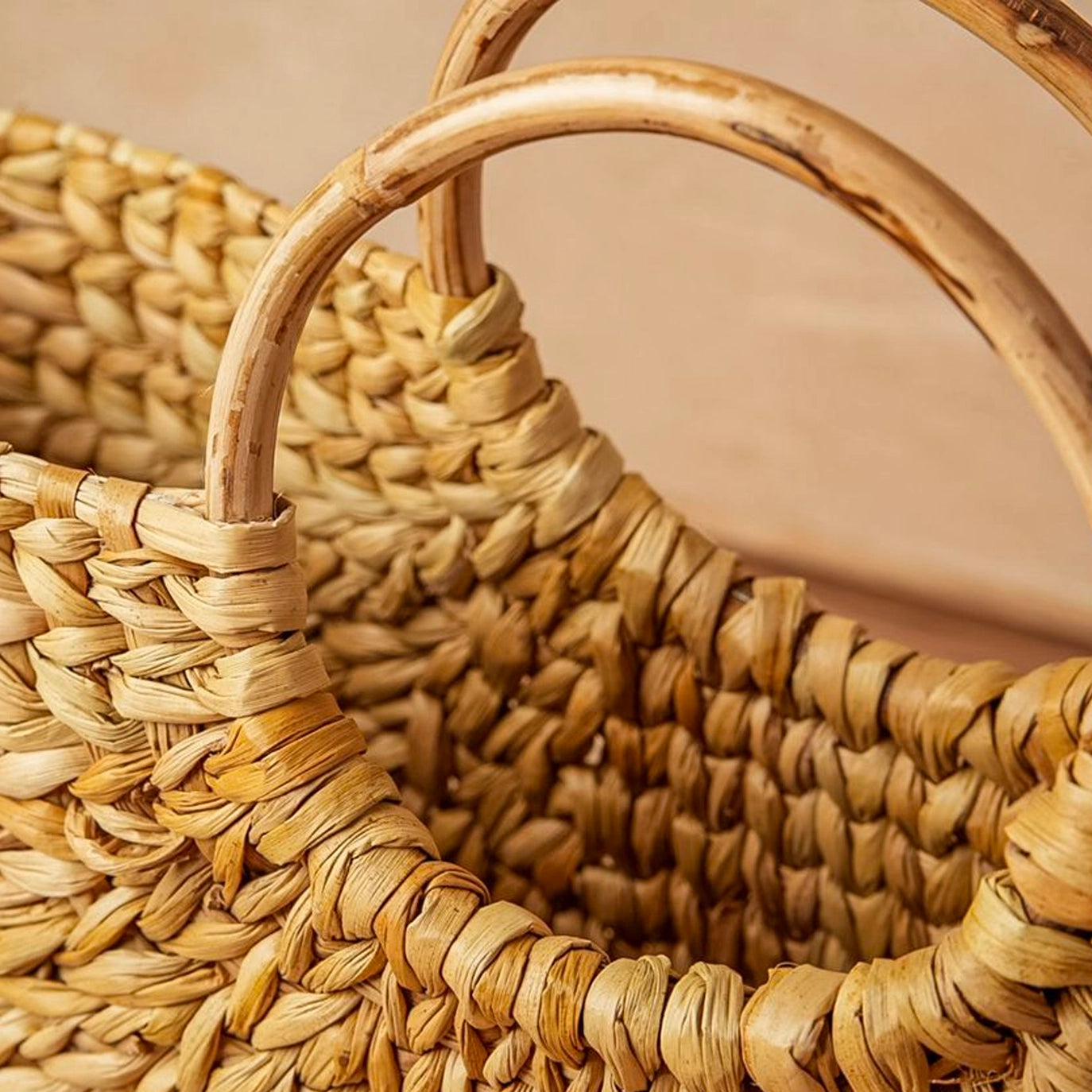Circle Handle Palm Tote
