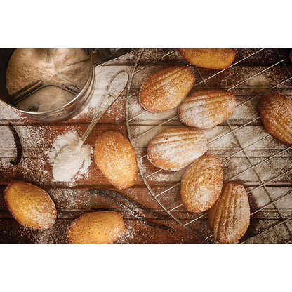 Mini Madeleine Pan
