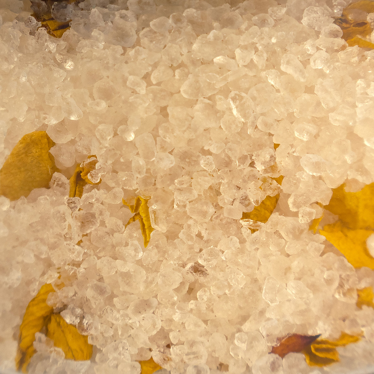CA Bottled Bath Soak - Alchemy
