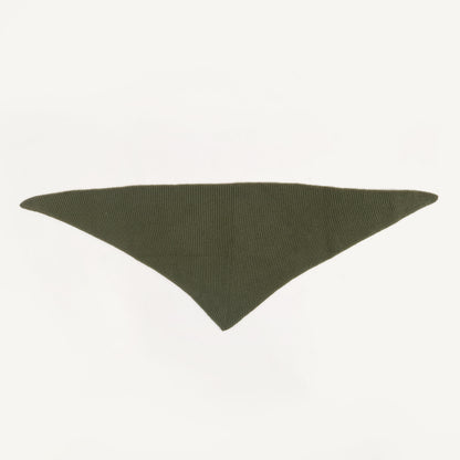 CA Cashmere Scarf - Bay Leaf