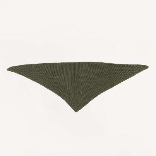 CA Cashmere Scarf - Bay Leaf