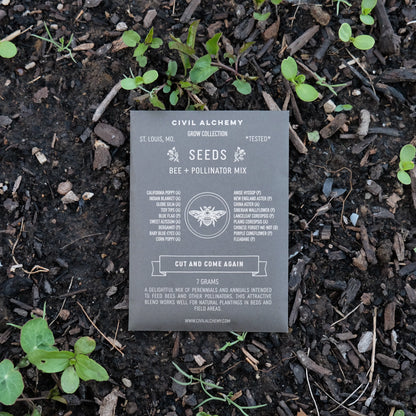 Bee & Pollinator Seed Mix