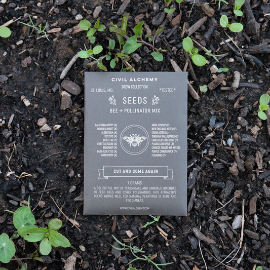 Bee & Pollinator Seed Mix