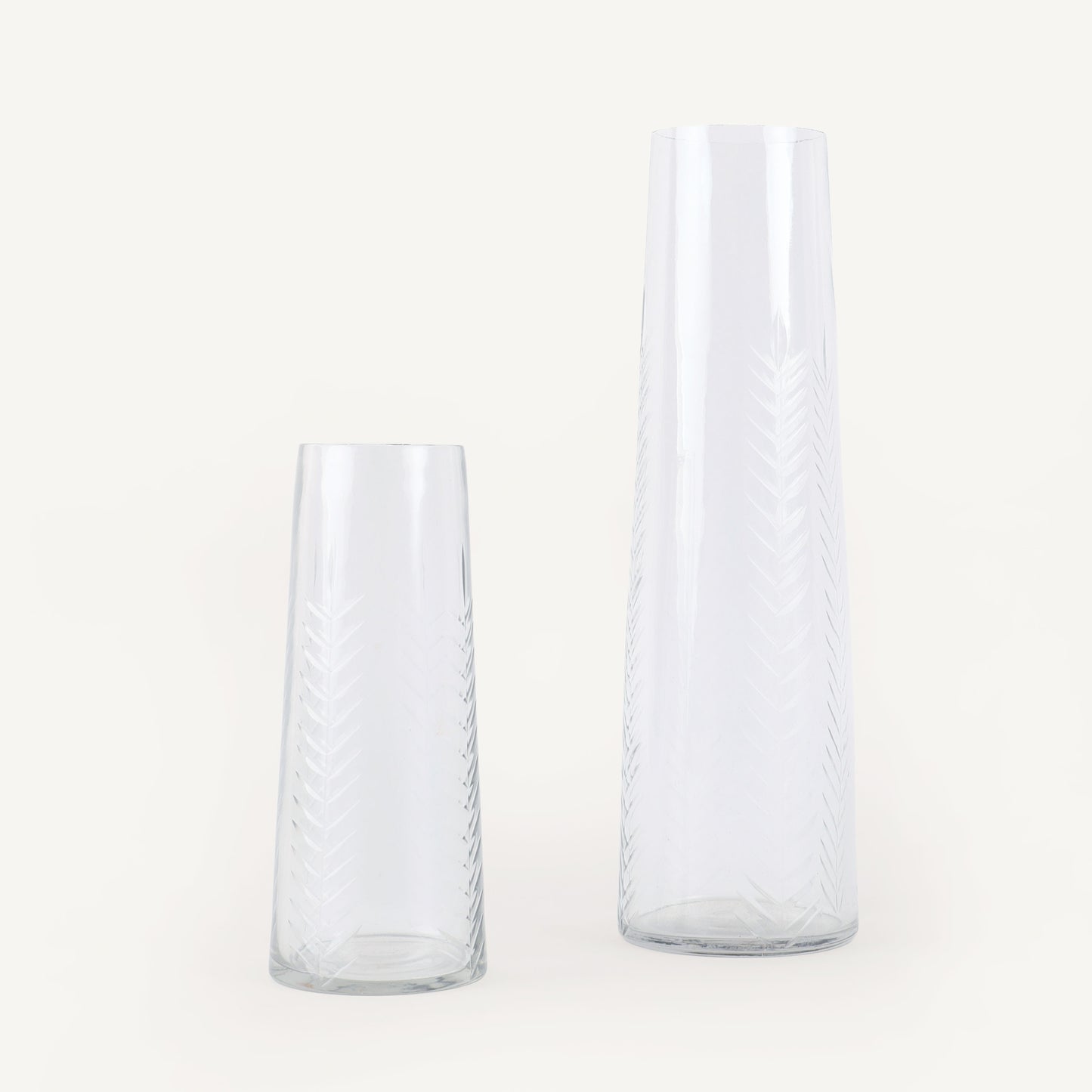 Two clear glass vases on a white background