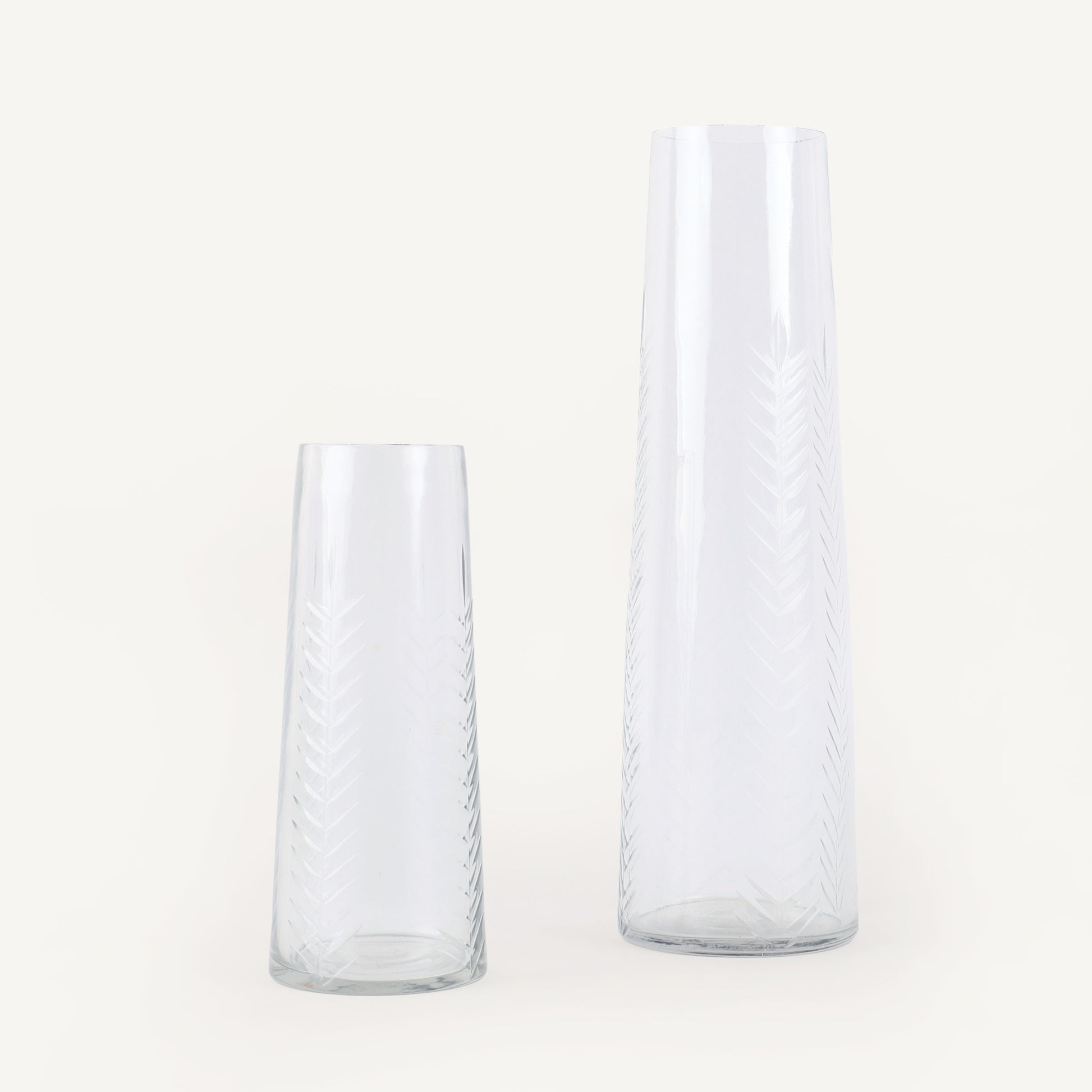 Two clear glass vases on a white background
