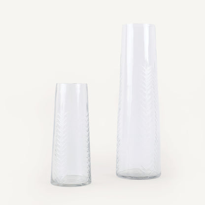 Two clear glass vases on a white background