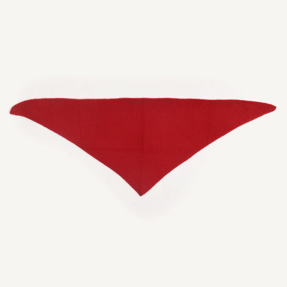 CA Cashmere Scarf - Garnet