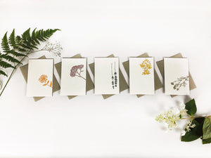 Medical Herb Cards Collection