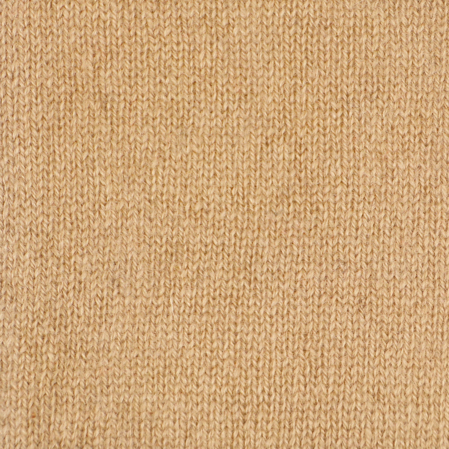 CA Cashmere Beanie - Chanterelle