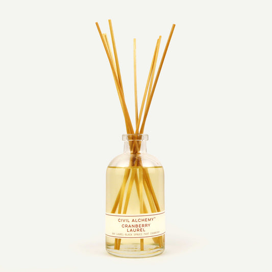 Reed diffuser with wooden sticks in a clear bottle on a white background