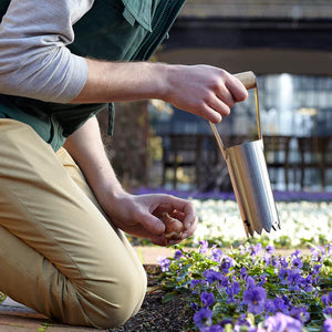 Stainless Bulb Planter RHS