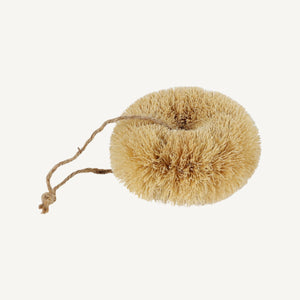 Dishwashing Brush