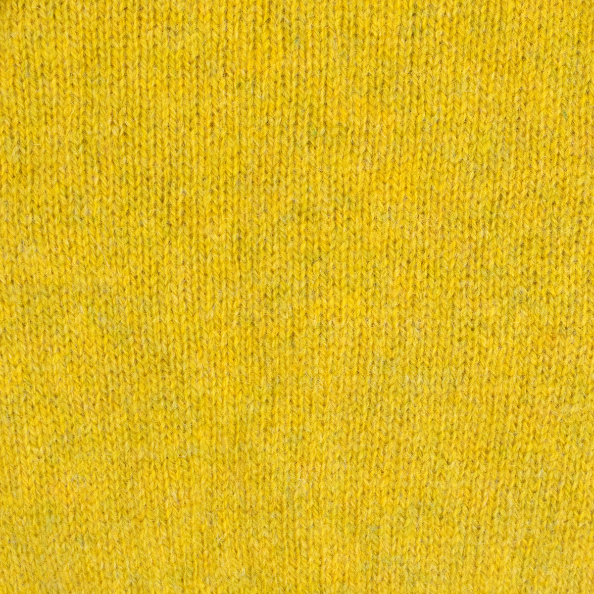 Shetland Crewneck - Citrine/Snow White
